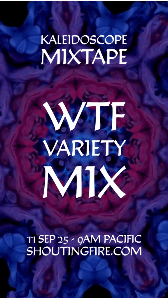 11 Sep 25 - WTF Variety Mix
